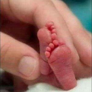 Meet your Posher, Lopez